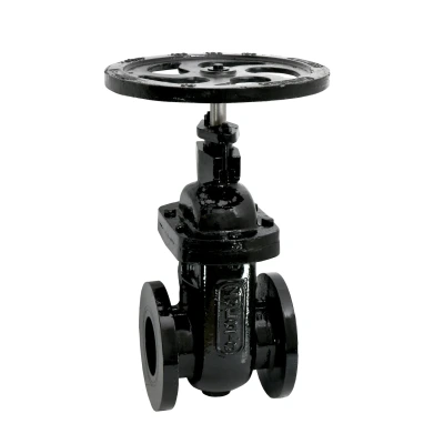 ZOLOTO Ductile Iron Sluice Valve PN 1.6 (Flanged) (1096)